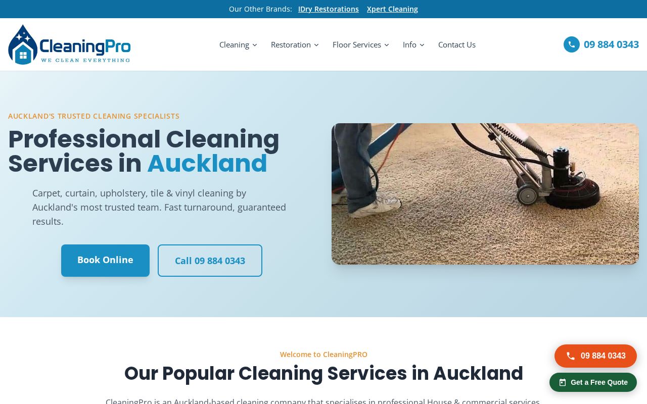 CleaningPro homepage screenshot