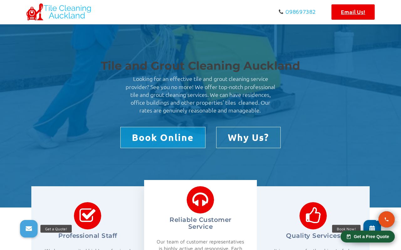 Tile Cleaning Auckland homepage screenshot